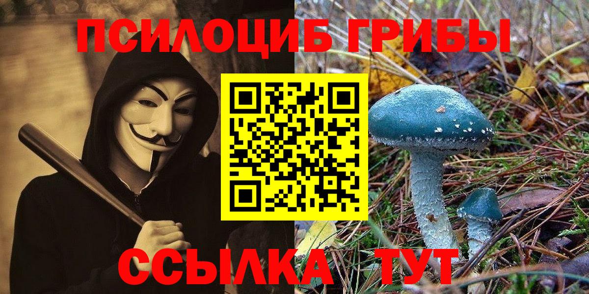 Волжский  наркота  Вход с VPN  Псилоцибиновые грибы мицелий  Галлюциногенные грибы Cubensis 